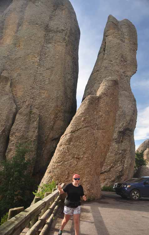 Needles Highway